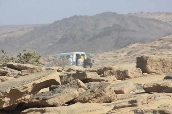 Geführte Wanderungen auf Fuerteventura