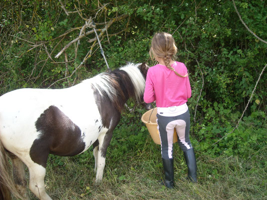 En rando, on apprend aussi à s'occuper de son poney...