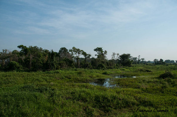Vue du Pantanal.