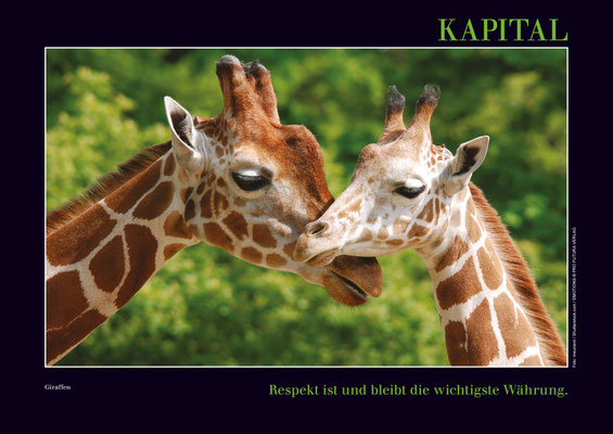 hochwertig und edel