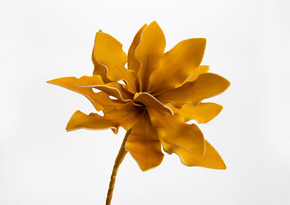 Fleur Cumbia jaune