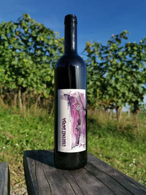 Eine Weinflasche Cabernet Dorsa steht auf einem Holzstück vor den Reben