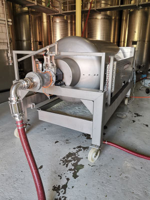 Traubenpresse
