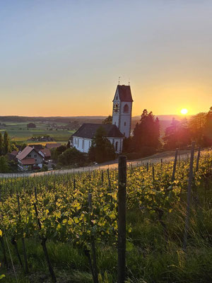 Bild eines Sonnenuntergangs, auch welchem Rebstöcke und eine Kirche im Vordergrund zu sehen sind