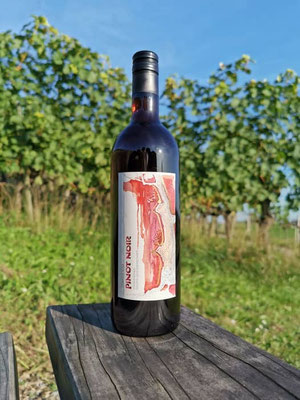 Eine Weinflasche Pinot Noir steht auf einem Holzstück vor den Reben