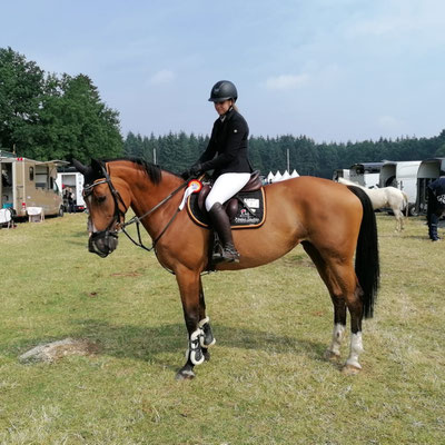 Jule Freericks errang den 3. Platz in einem L-Springen und placierte sich mit ihrer Fidorka erstmalig in einem Springen der Klasse M (6. Platz)