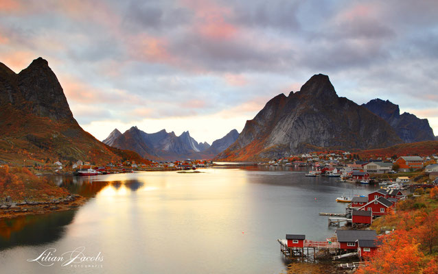 Reine