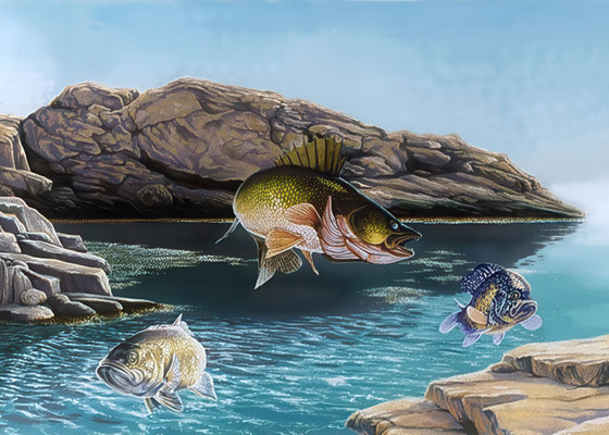 Low Tide, mixed Media on Paper, 14"x 20".