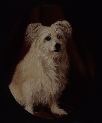 Comet, Oil on oval canvas, 8"x10".