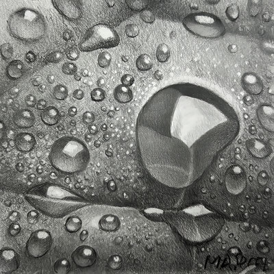 Water Drops,Graphite on paper, 4"x 4"