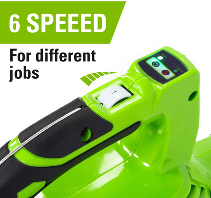soffiatore #batteria #greenworks #40v #GD40BV