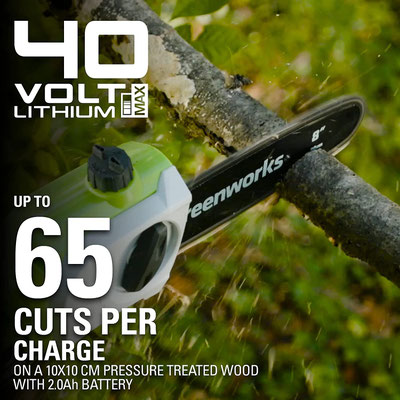 potatore #telescopico #asta #batteria #40v #greenworks #sandroshop