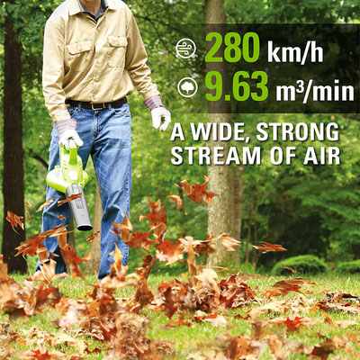 soffiatore #batteria #greenworks #40v #GD40BV