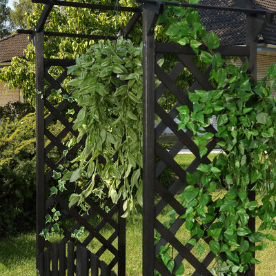 arco +grigliato +rampicanti +cancello +giardino