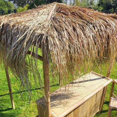 bar #bamboo #bambù #tiki