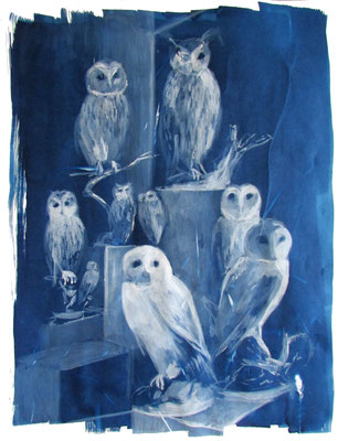 Diorama Chouettes, acrylique et cyanotype sur papier, 50x65cm, 2021