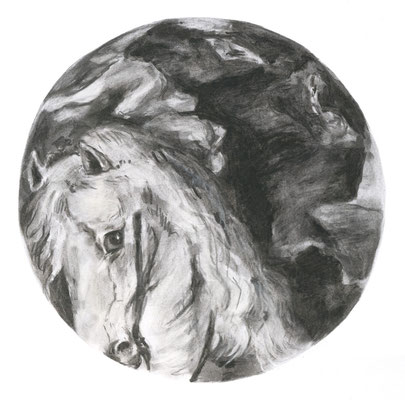 Géricault, 30 x 30 cm, fusain sur papier, 2010