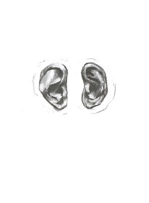 Les oreilles, 21 x 29,7 cm, fusain sur papier, 2010