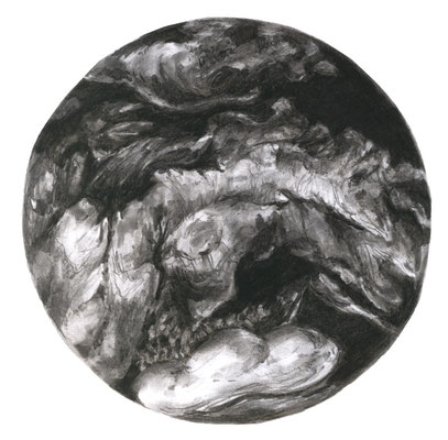 Arcimboldo, 30 x 30 cm, fusain sur papier, 2010
