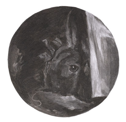 Watteau, 30 x 30 cm, fusain sur papier, 2010