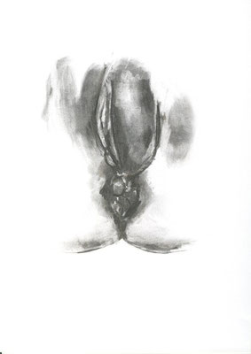 Vestiges irréguliers, fusain sur papier, 21 x 29,7 cm, 2010