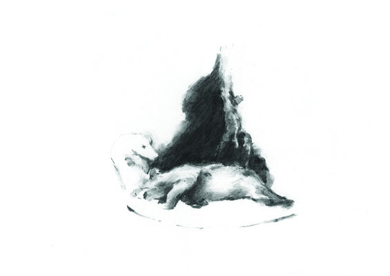 Le biscuit sanglier, 33 x 43 cm, fusain sur papier, 2008