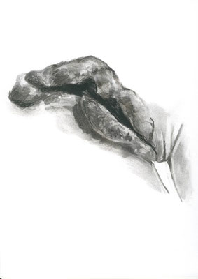 Vestiges irréguliers, fusain sur papier, 21 x 29,7 cm, 2010
