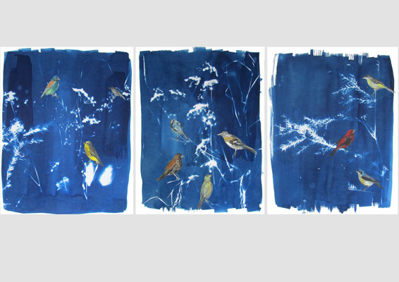 Dioramas,  acrylique et cyanotype sur papier, 50x65cm, 2021