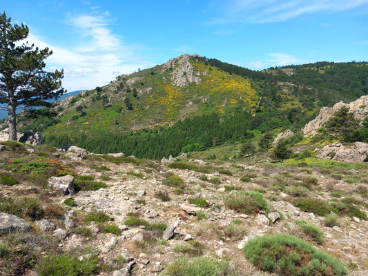 Caroux