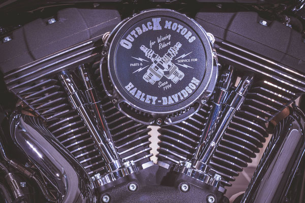 BLACK PEARL WHITE STRIPES NIGHT TRAIN Harley Davidson Solothurn