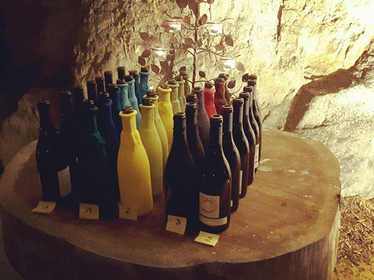 Loire-Valley-wine-tasting-event-party-specialist-Myriam-Fouasse-Robert