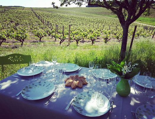 picnics-Vouvray-vineyard-vines-wine-tasting-Loire-Valley-Tours-Amboise