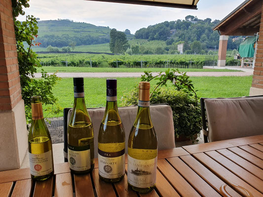 wine-tourisme-Italy-Soave-wine-tasting