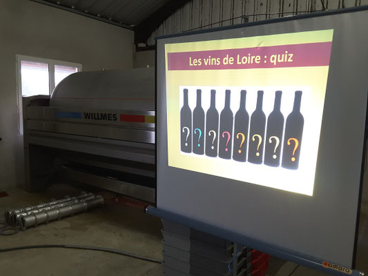 wine-games-Loire-Valley-wine-tasting-for-professionals-team-work-fun-moment-incentive