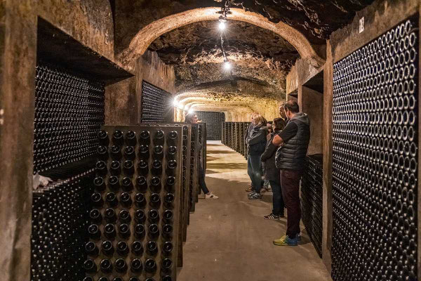 Photo-David-Darrault-wine-tour-cellar-visit-Loire-Valley-Amboise-Vouvray