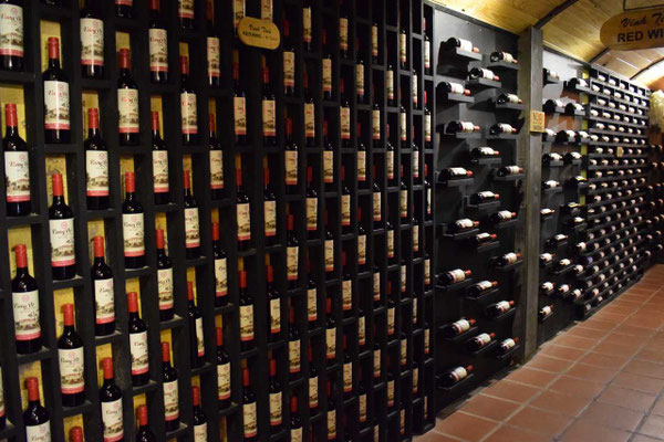 wine-tourism-vietnam-visit-winery-vinh-tien-dalat