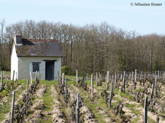 vineyard-lodge-reugny-Loire-Valley-AOC-Vouvray-wine-tourism