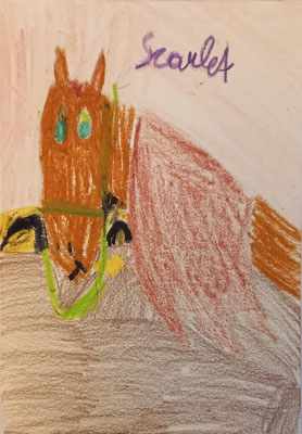 Porträt eines Pferdes, von Mona , sie ist begeisterte Reiterin 