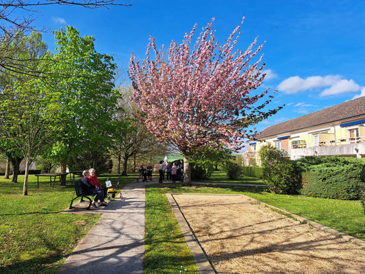 Le parc arboré entoure la résidence services seniors