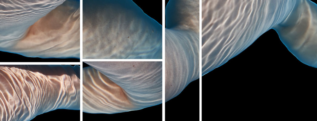 (c) Manuela STEIN - fotobasierte Arbeit - Titel "118\mauw_2022"