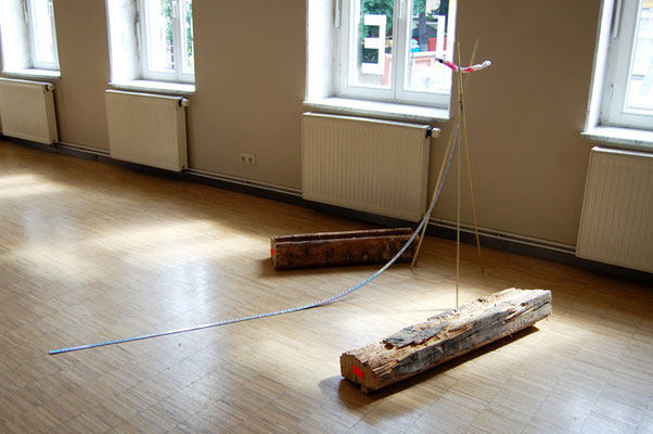   YOUR BODY WANTS IT, 2011, mixed media, 200x130x140cm