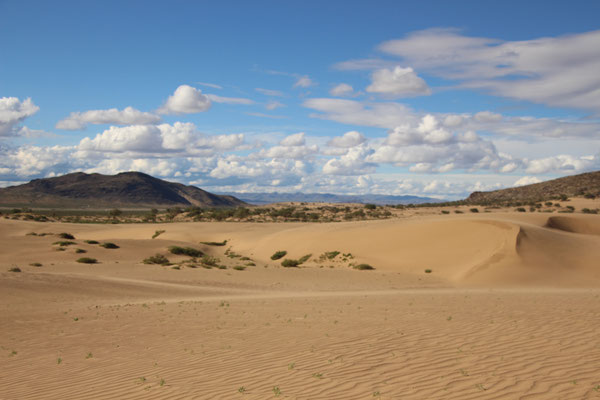 Wüste, Mongolei