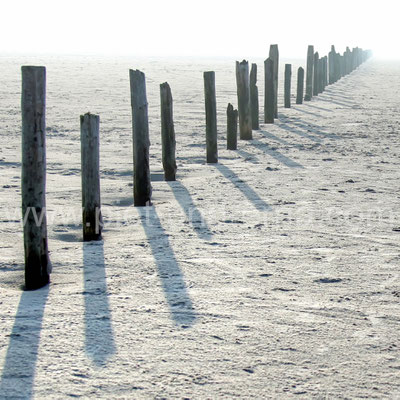 Strandpfähle