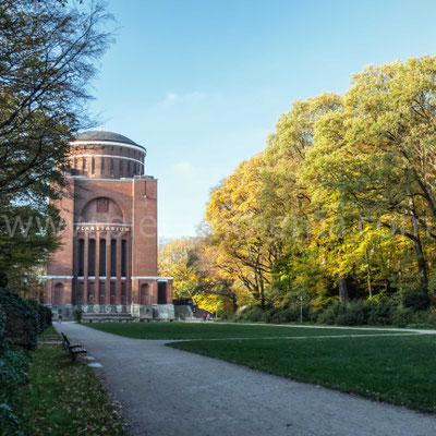 Planetarium mit Wald