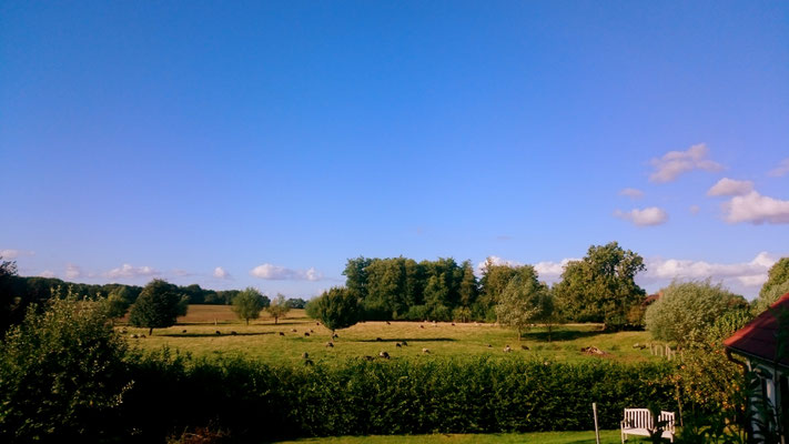 Ferienwohnungen Ostseewinkel, Sauna, Wiesenblick