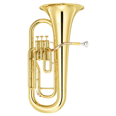 Tenorhorn/Bariton