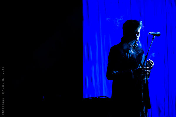Benjamin Biolay au Radiant-Bellevue, Photographie de scène à Caluire-et-Cuire