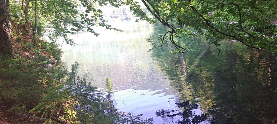 Weißenfelser See