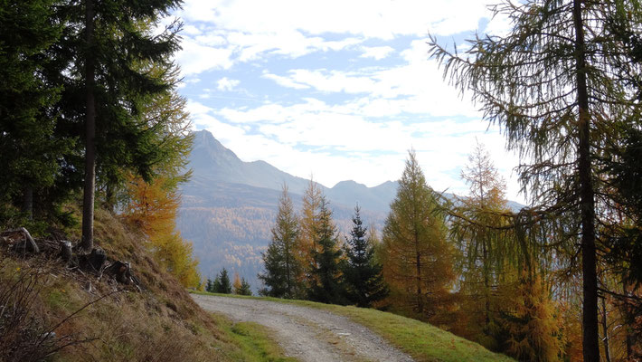 vom Parkplatz Mooswiesen wanderten wir los