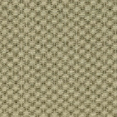 「気分草快」という樹脂製の畳ブランド。水に強い性質をもち、お手入れ簡単でコストも抑えられる人工イ草の畳です。
